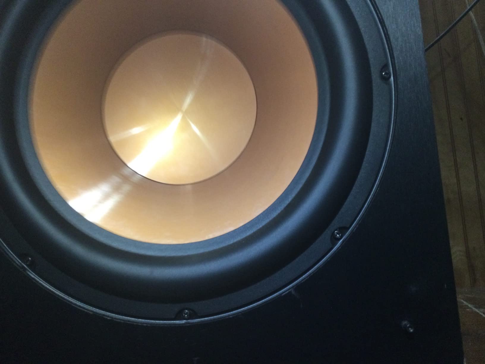 Klipsch R-12SW 12
