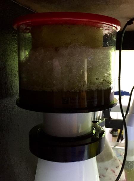 Reef Octopus Classic 150INT Protein Skimmer customer photo 2