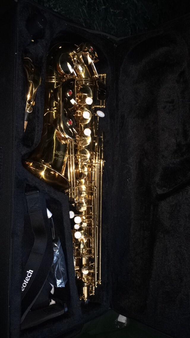 Glory Gold Laquer E Flat Alto Saxophone with 11 reeds, 8 Pads cushions, case, carekit customer photo 1