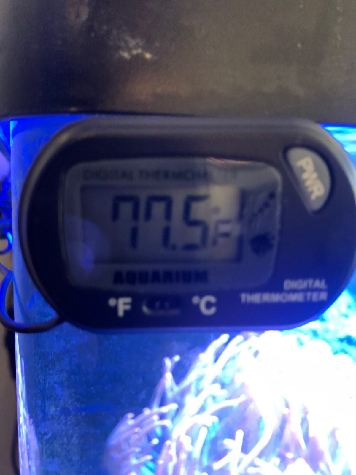 Aqueon Aquarium Fish Tank Heater, Preset, Up to 30 Gallons, 100 Watts customer photo 2
