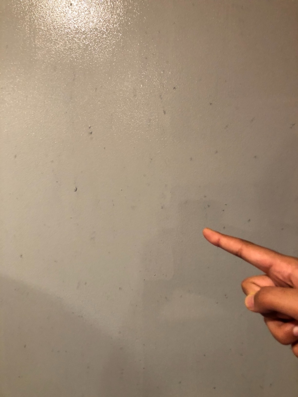 Projector Screen Paint | Single-Coat Short Throw Projector Screen Paint For Picture Perfect 1080 HD and 4K UHD Clarity | Designed For Interior Use | Silver, 1 Gallon customer photo 1