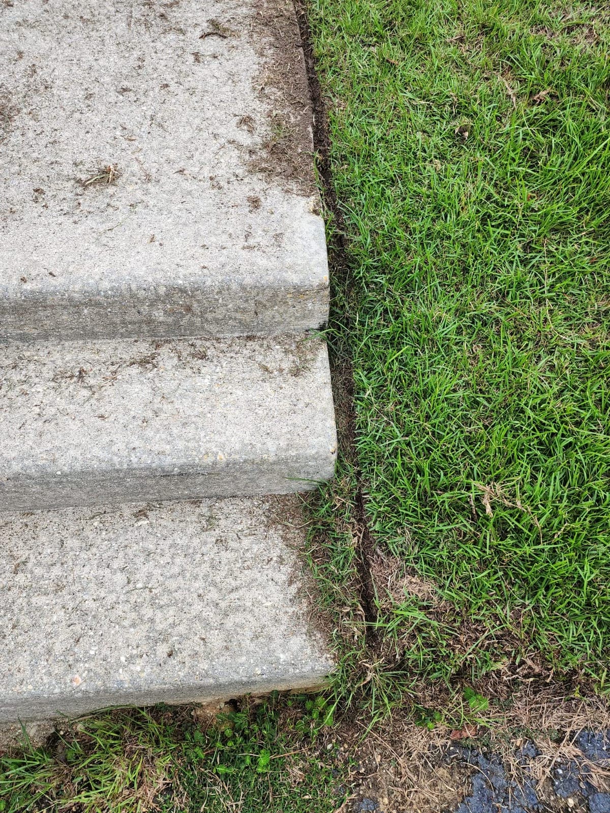 WORX Electric Lawn Edger, 12 Amp 7.5