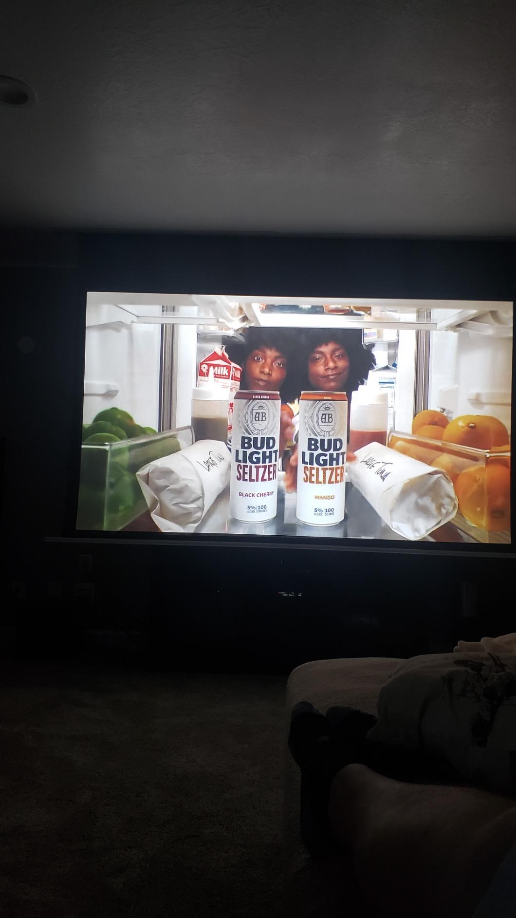 Elite Screens Evanesce Tab-Tension B, 110-inch 16:9, 4K / 8K HD, Recessed in-Ceiling Electric Tab Tensioned Projector Screen, Matte White Projection Screen Surface Programmed Remote Kit, ETB110HW3-E8 customer photo 2