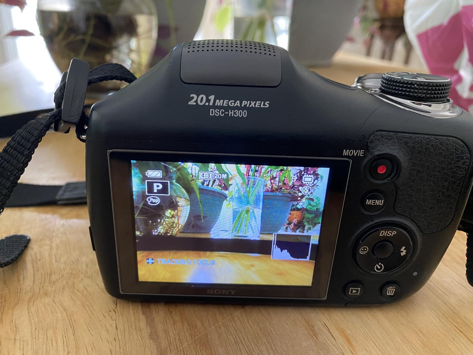 Sony Cyber-shot DSC-H300 20.1 MP Digital Camera - Black (Renewed) customer photo 1