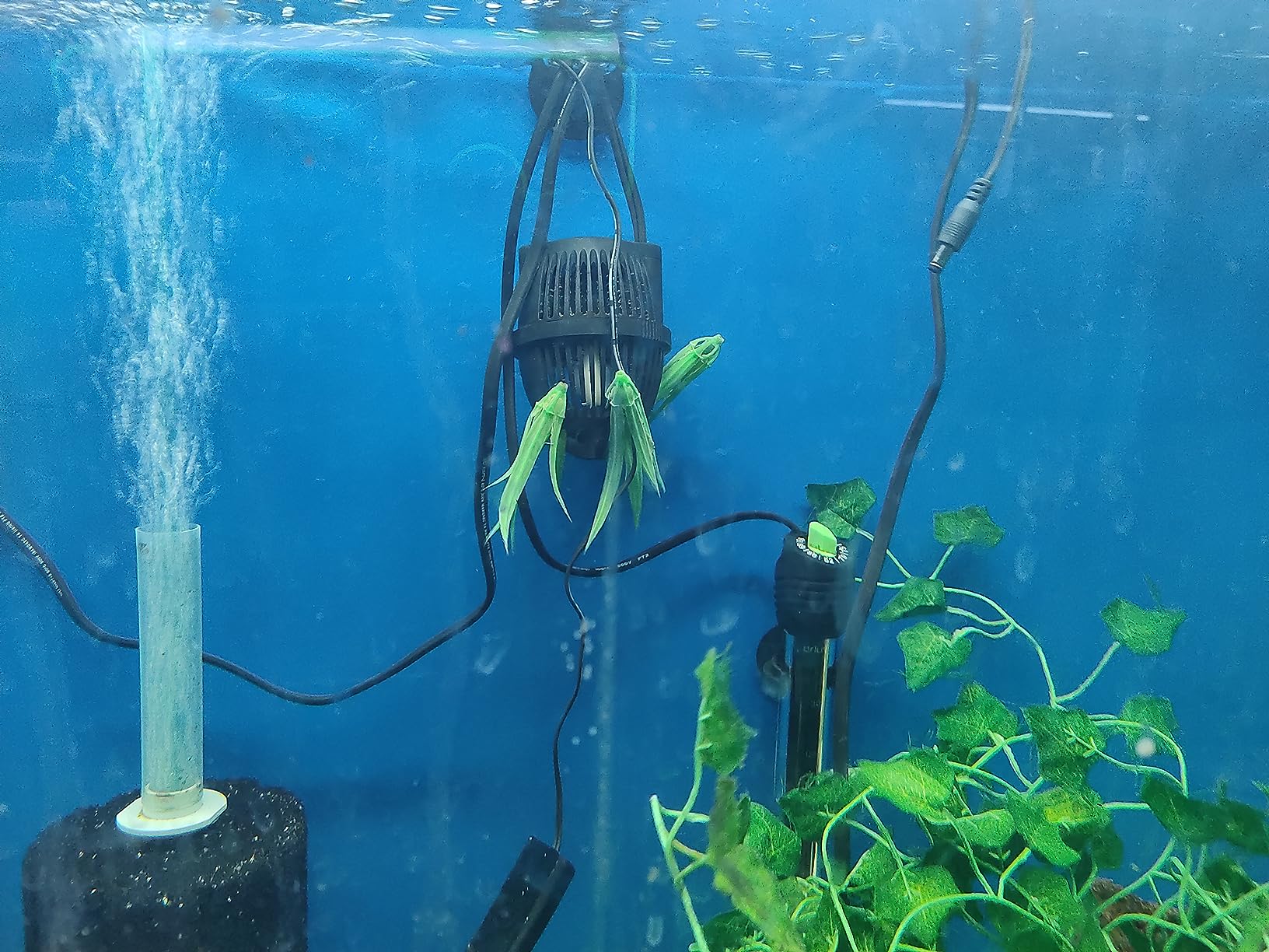Sun Jvp Series Submersible Circulation Power Head Pump, 800 GPH, 4Piece | Submersible Circulation Powerhead Pumps with 360° Rotation for Freshwater & Saltwater Tanks customer photo 1