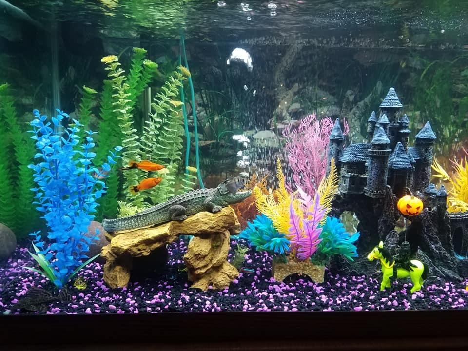Marineland Magniflow 400 Canister Filter, For Up to 100-Gallon Freshwater or Saltwater Aquariums customer photo 1
