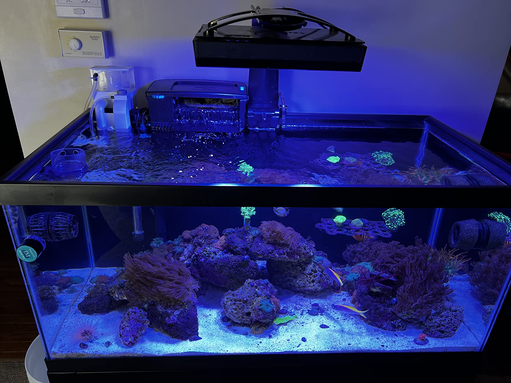 M-50 Mini Hang-on External Protein Skimmer, 53 Gallon customer photo 2