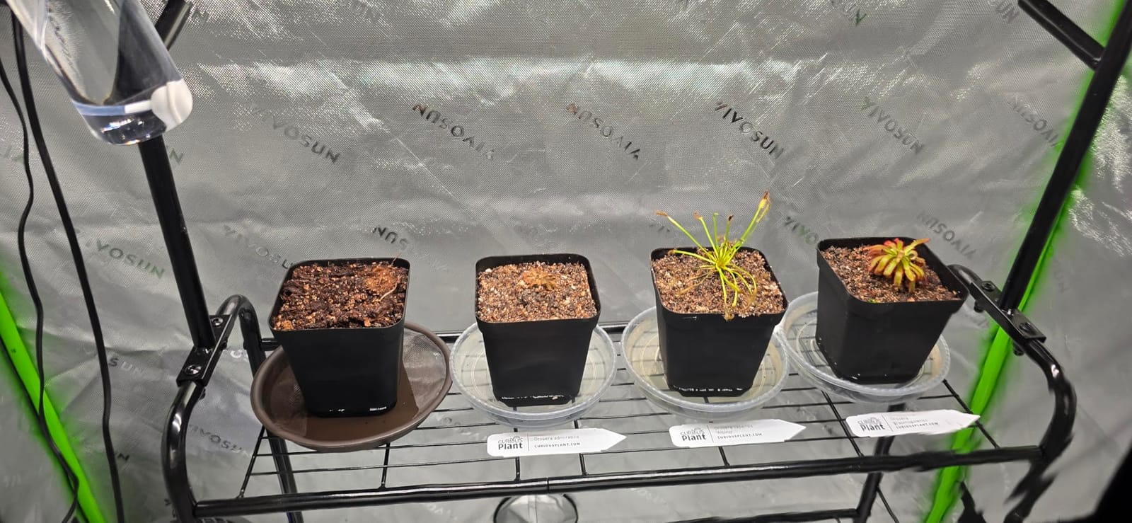 VIVOSUN S336 3x3 Grow Tent 36