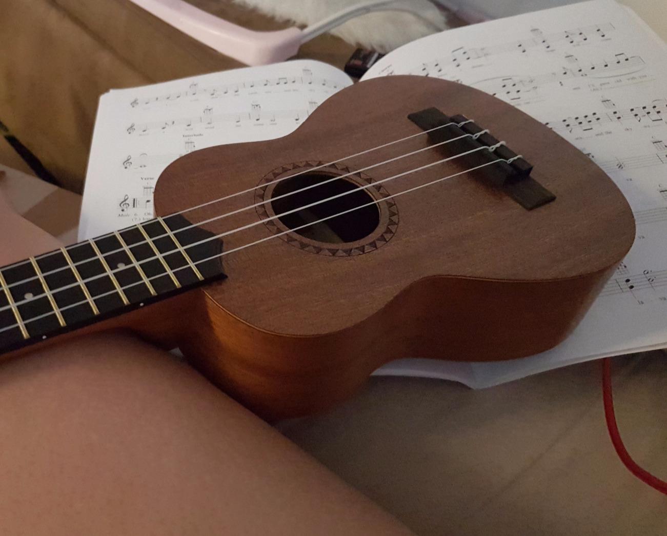 Official Kala Learn to Play Ukulele Soprano Starter Kit, Satin Mahogany - Includes online lessons, tuner app, and booklet (KALA-LTP-S) | Soprano Satin Mahogany Ukulele, Aquila Strings, Graphtech Nubone Nut and Saddle, With Clip-on Tuner customer photo 1