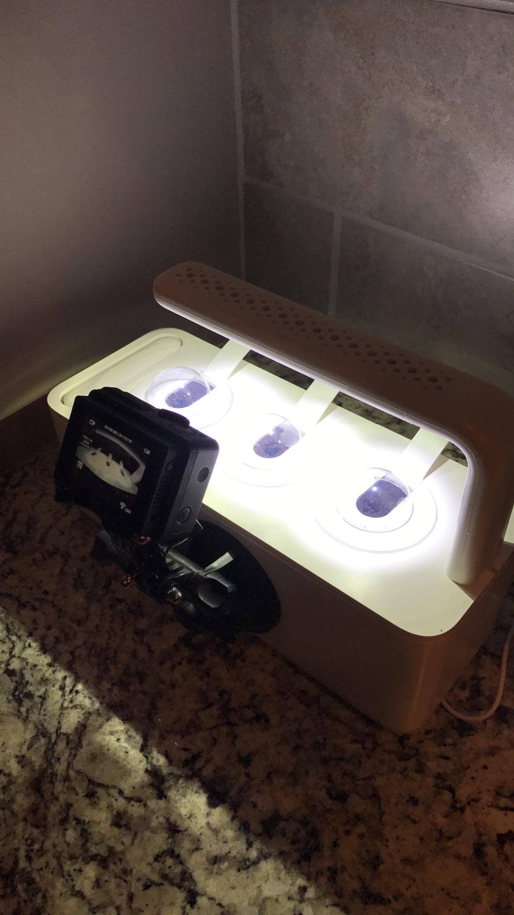 Click & Grow Indoor Herb Garden Kit with Grow Light | Smart Garden for Home Kitchen Windowsill | Easier Than Hydroponics Growing System | Vegetable Gardening Starter (3 Basil Pods Included), Grey customer photo 1