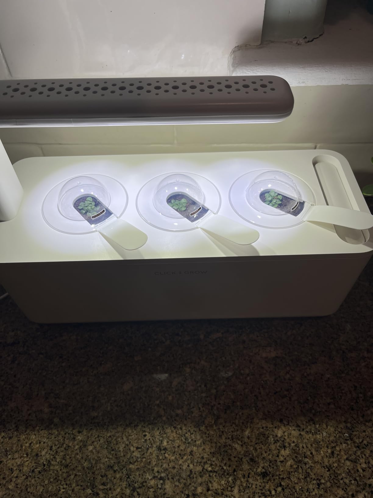 Click & Grow Indoor Herb Garden Kit with Grow Light | Smart Garden for Home Kitchen Windowsill | Easier Than Hydroponics Growing System | Vegetable Gardening Starter (3 Basil Pods Included), Grey customer photo 2