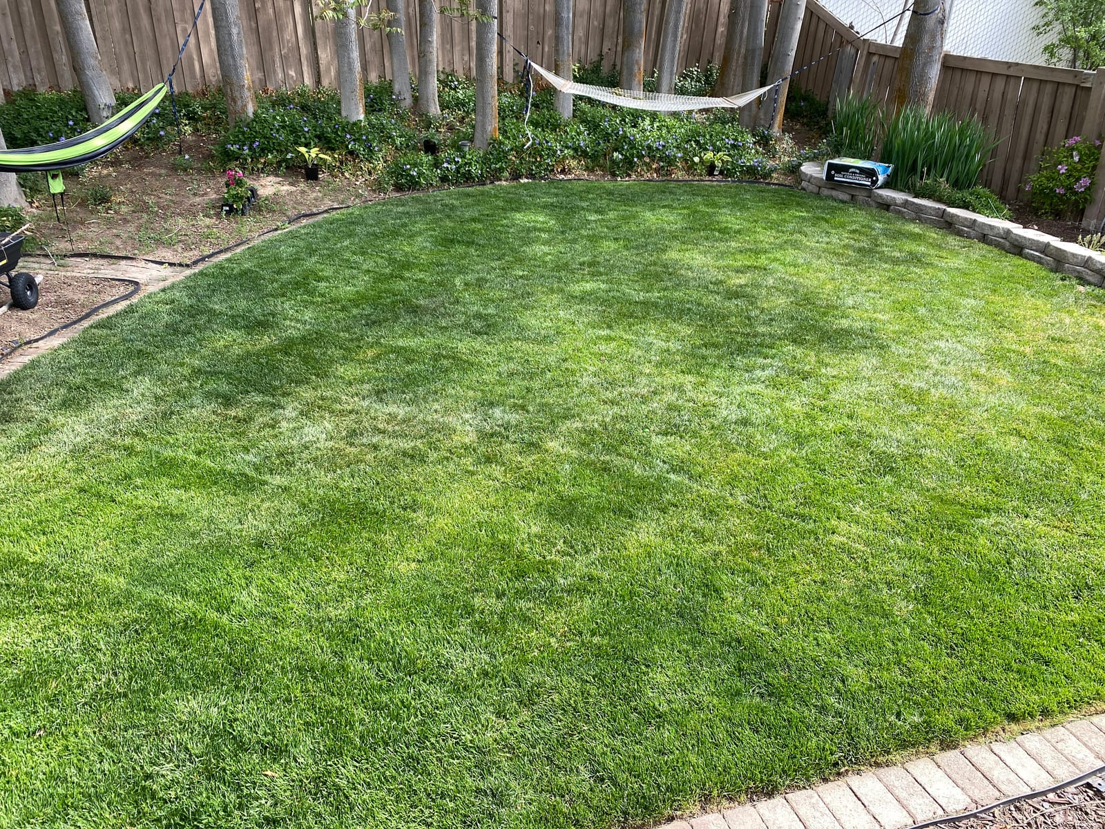Black+Decker 40V MAX 13 Inch String Trimmer and Lawn Edger with Battery and Charger, Cordless Weed Eater with Charge Indicator, High Torque PowerDrive Technology (LST140C) customer photo 1