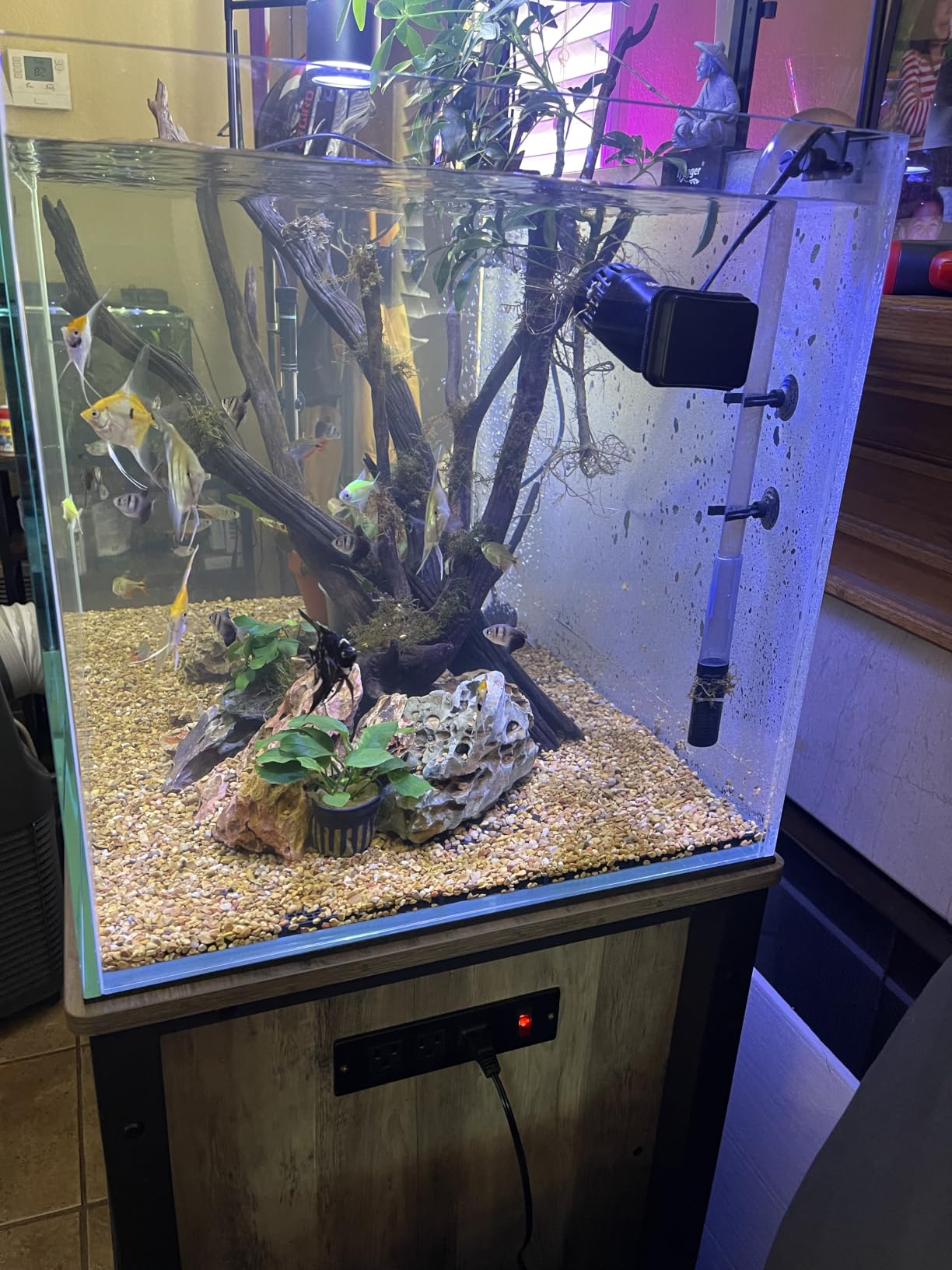 LANDEN Aquarium 100P 50 Gallon Ultra Clear Glass Rimless Fish Tank | 39.4x17.7x17.7in customer photo 1