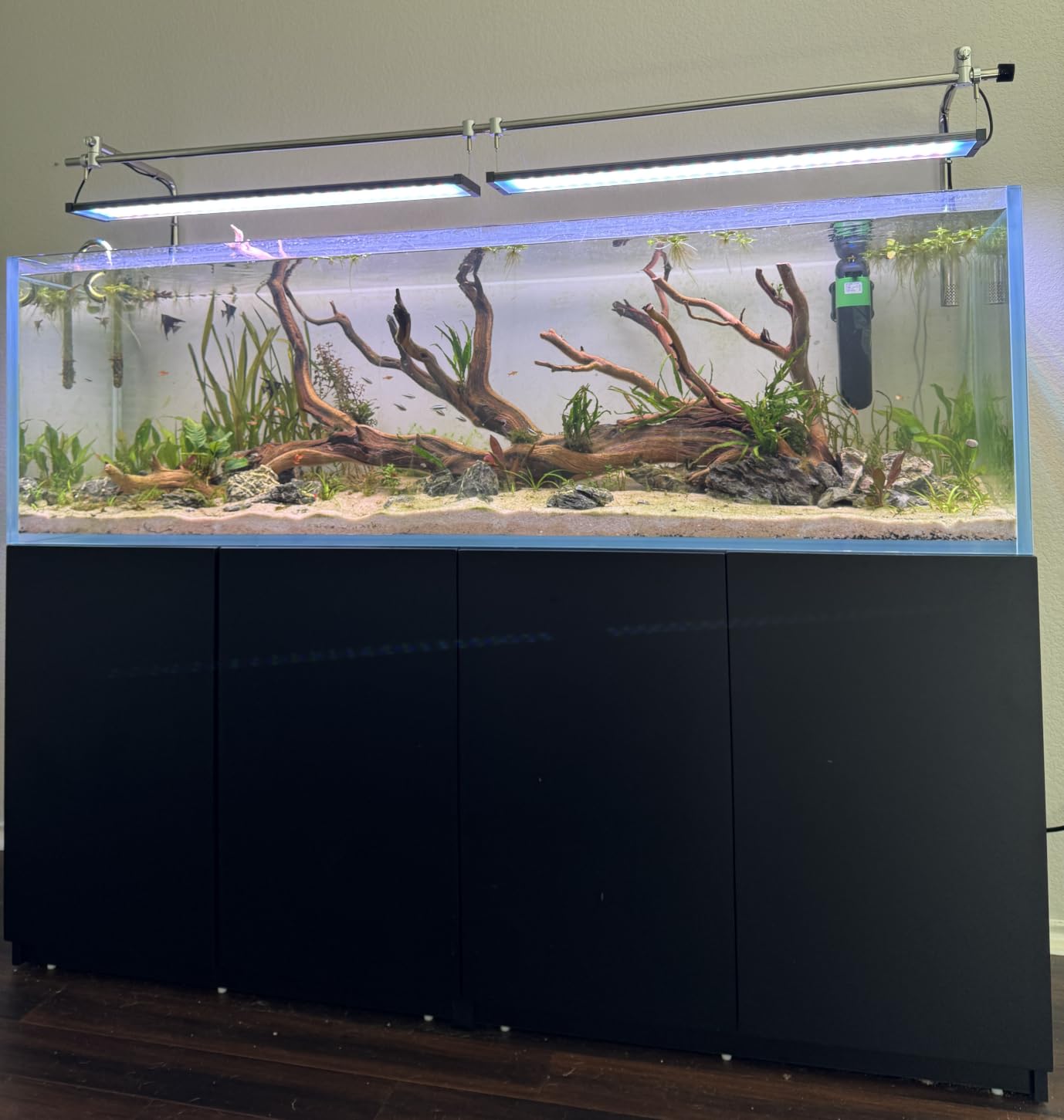 LANDEN Aquarium 100P 50 Gallon Ultra Clear Glass Rimless Fish Tank | 39.4x17.7x17.7in customer photo 2