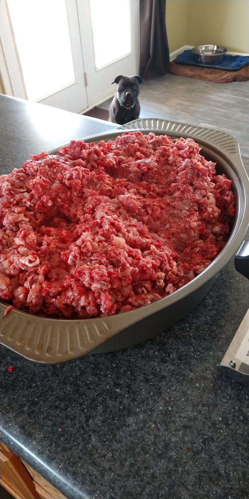 Weston Pro Series Electric Meat Grinder, Commercial Grade, 1120 Watts, 1.5 HP, 14lbs. Per Minute, Stainless Steel (10-2201-W) customer photo 2