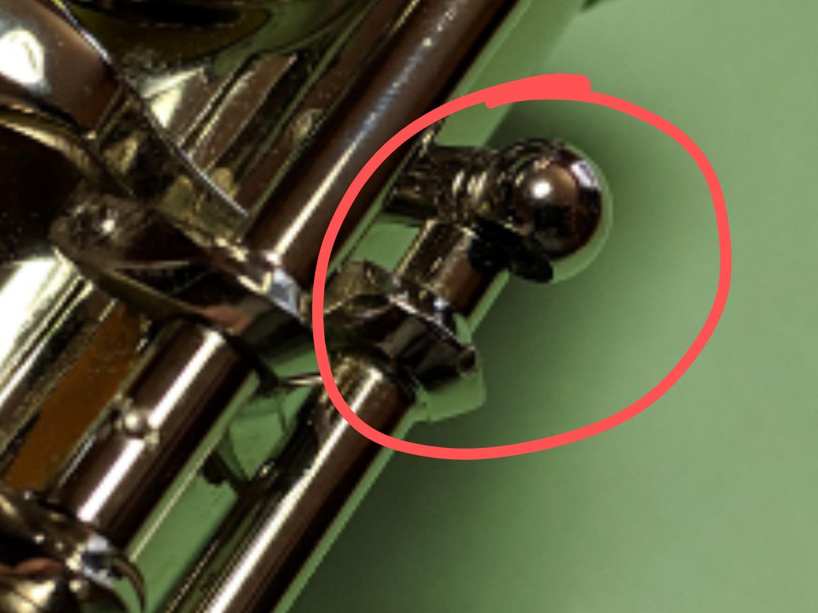 Mendini by Cecilio 16 Keys Closed Hole C Flute Kit for Beginners - Nickel customer photo 1