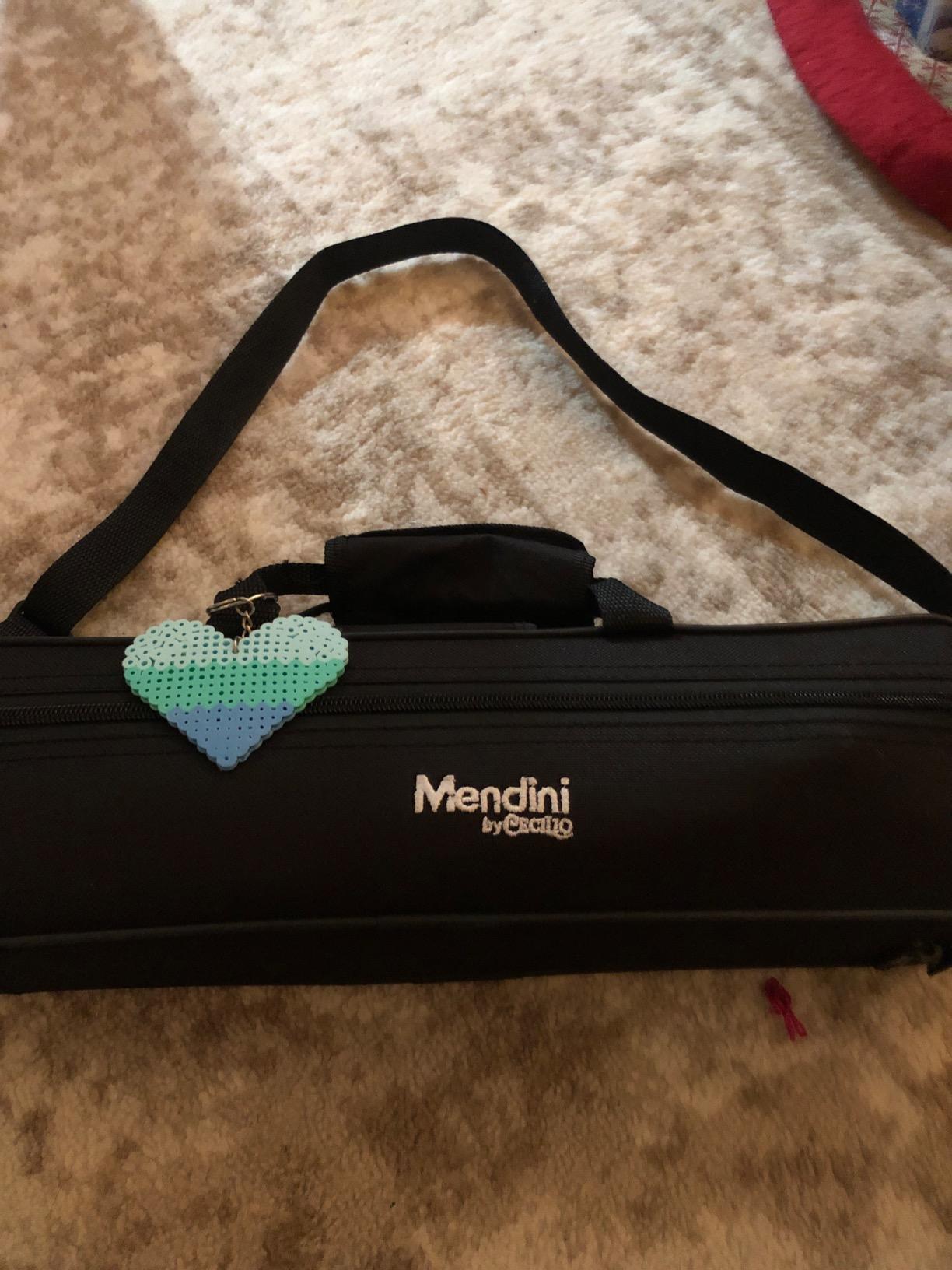 Mendini by Cecilio 16 Keys Closed Hole C Flute Kit for Beginners - Nickel customer photo 2