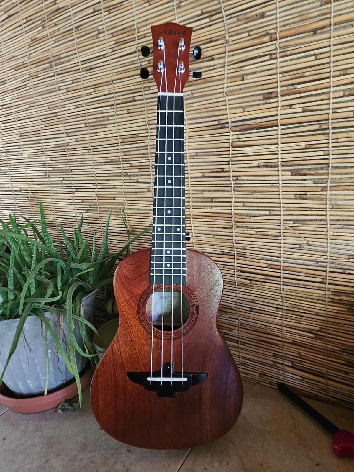 Ukulele, AKLOT Concert Ukelele Solid Mahogany 23 inch for Professional Beginners Adults Kit with Free Online Lesson and Uke Accessories customer photo 2