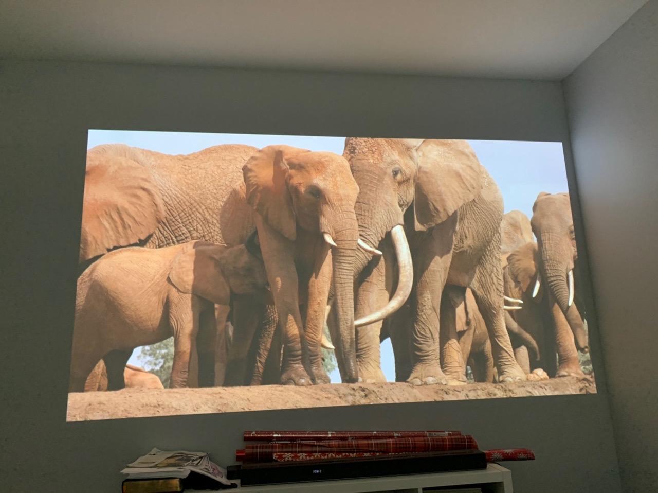 Epson Home Cinema 2150, Wireless, Full HD, 1080p, 2,500 lumens color brightness (color light output), 2,500 lumens white brightness (white light output), 2x HDMI (1 MHL), Miracast, 3LCD projector customer photo 1