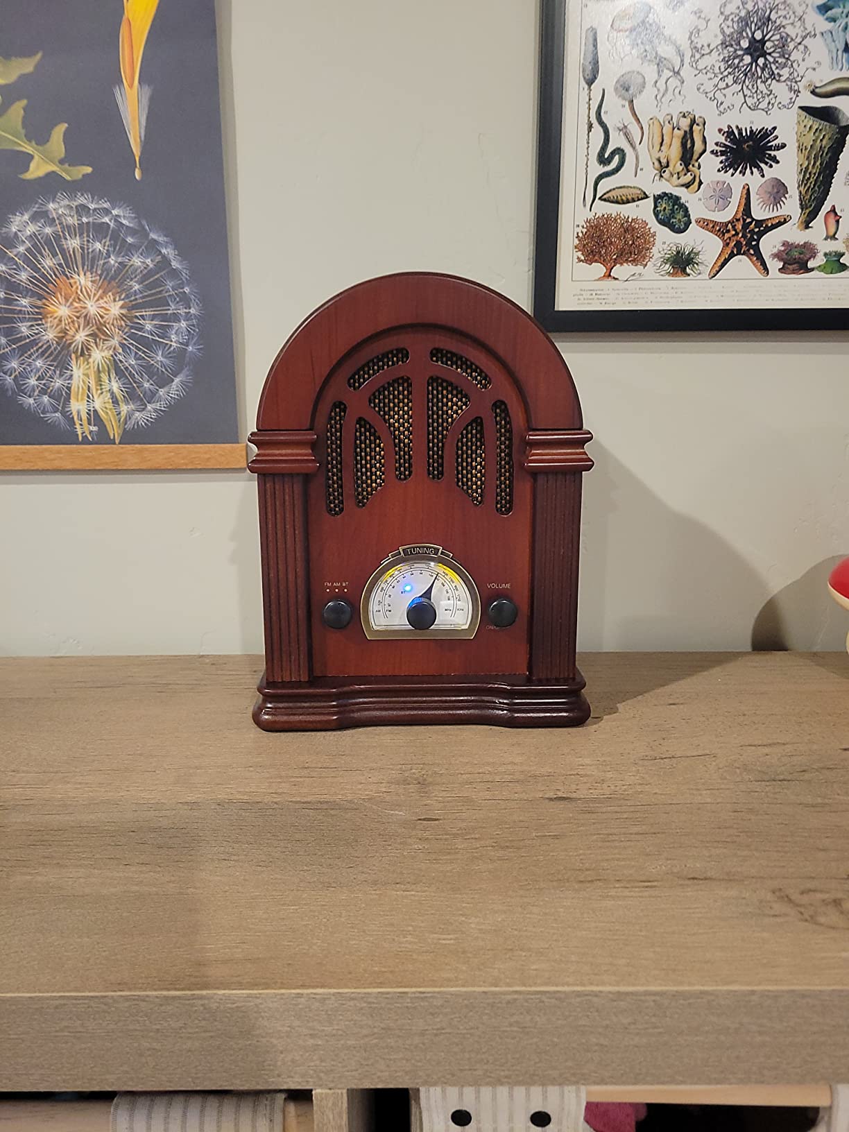 ClearClick Retro AM/FM Radio with Bluetooth - Classic Wooden Vintage Retro Style Speaker customer photo 1