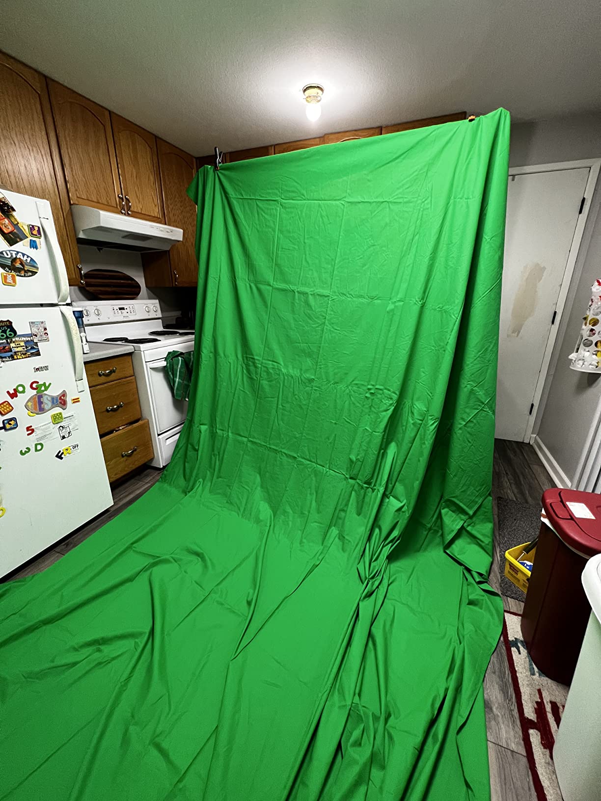 EMART Green Screen Backdrop Kit, 8.5x10FT Stand with 10x12FT Backdrop | Photography Background Support System with 100% Cotton Muslin Backdrop, 2 Clamps for Photo Studio, Video Shooting, Live Stream customer photo 2