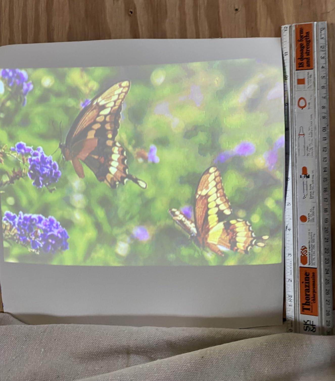 Kodak Ultra Mini Portable Projector - HD 1080p Support LED DLP Rechargeable Pico - 100 Display Built-in Speaker - HDMI USB and Micro SD - Compatible with iPhone iPad Android Phones customer photo 2