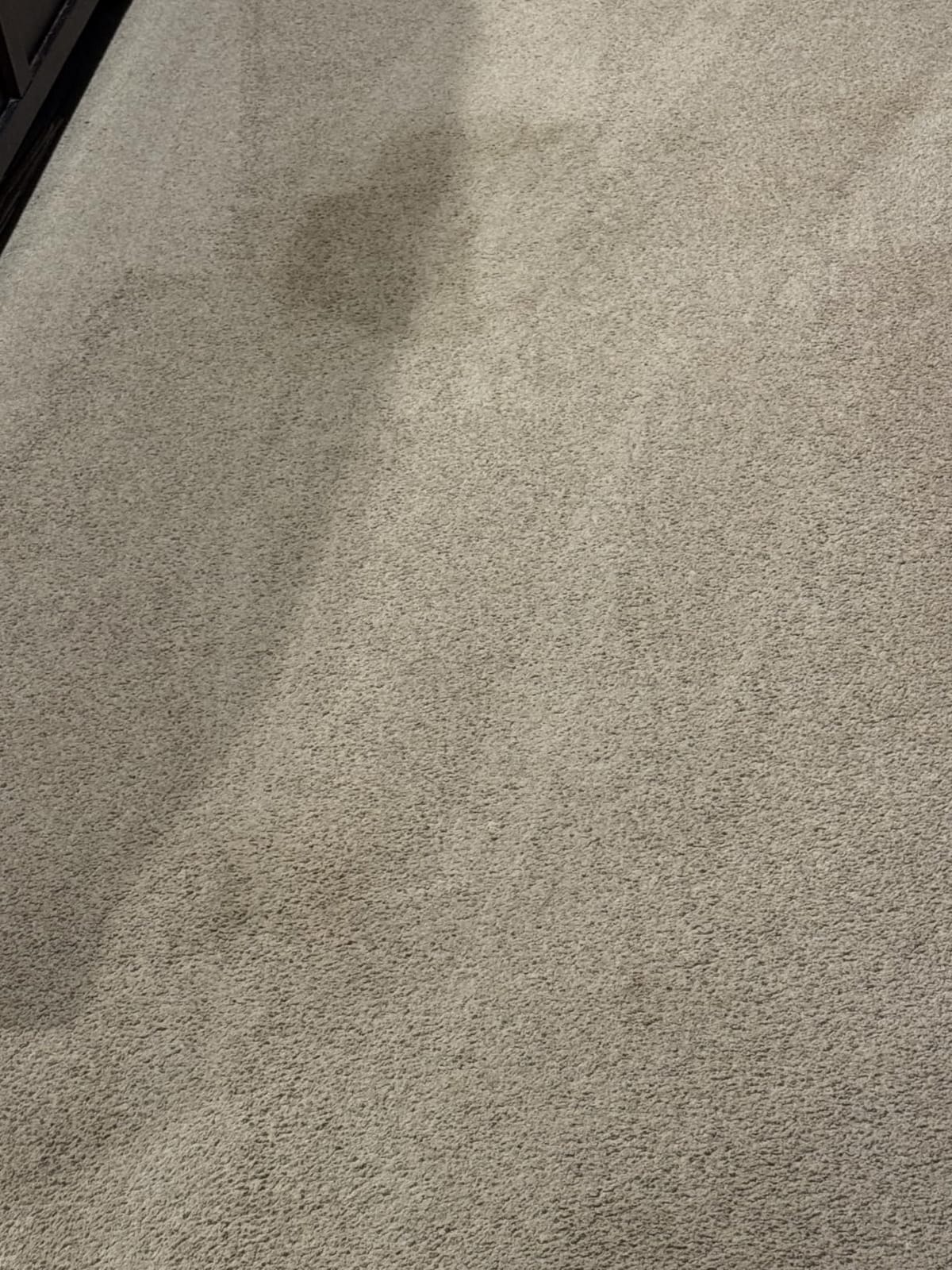 Hoover PowerDash Pet Compact Carpet Cleaner Machine, Lightweight Design customer photo 2