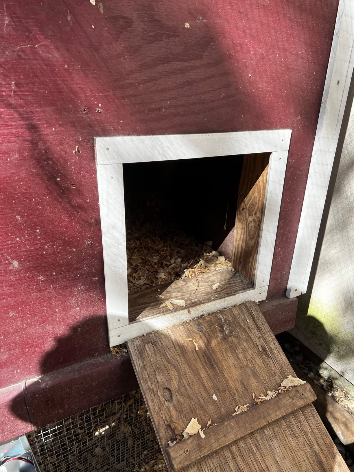 Automatic Chicken Coop Door Extra Large 13 x 10.5 Inch Opening, Heavy Duty Galvanized Steel, Predator Resistant, ADOR1 Made in USA customer photo 2