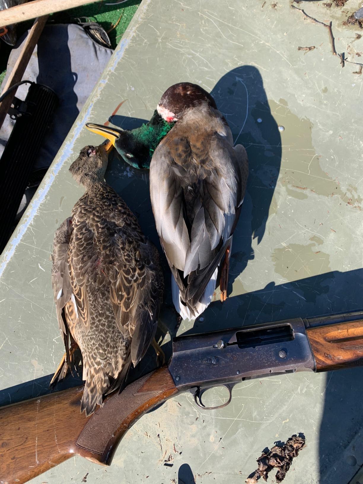 MOJO Elite Series Mini Mallard Spinning Wing Flexible Duck Decoy for Duck Hunting with Smoother, Quieter, Faster, and More User-Friendly Decoy, Includes A Solid Component Housing customer photo 2