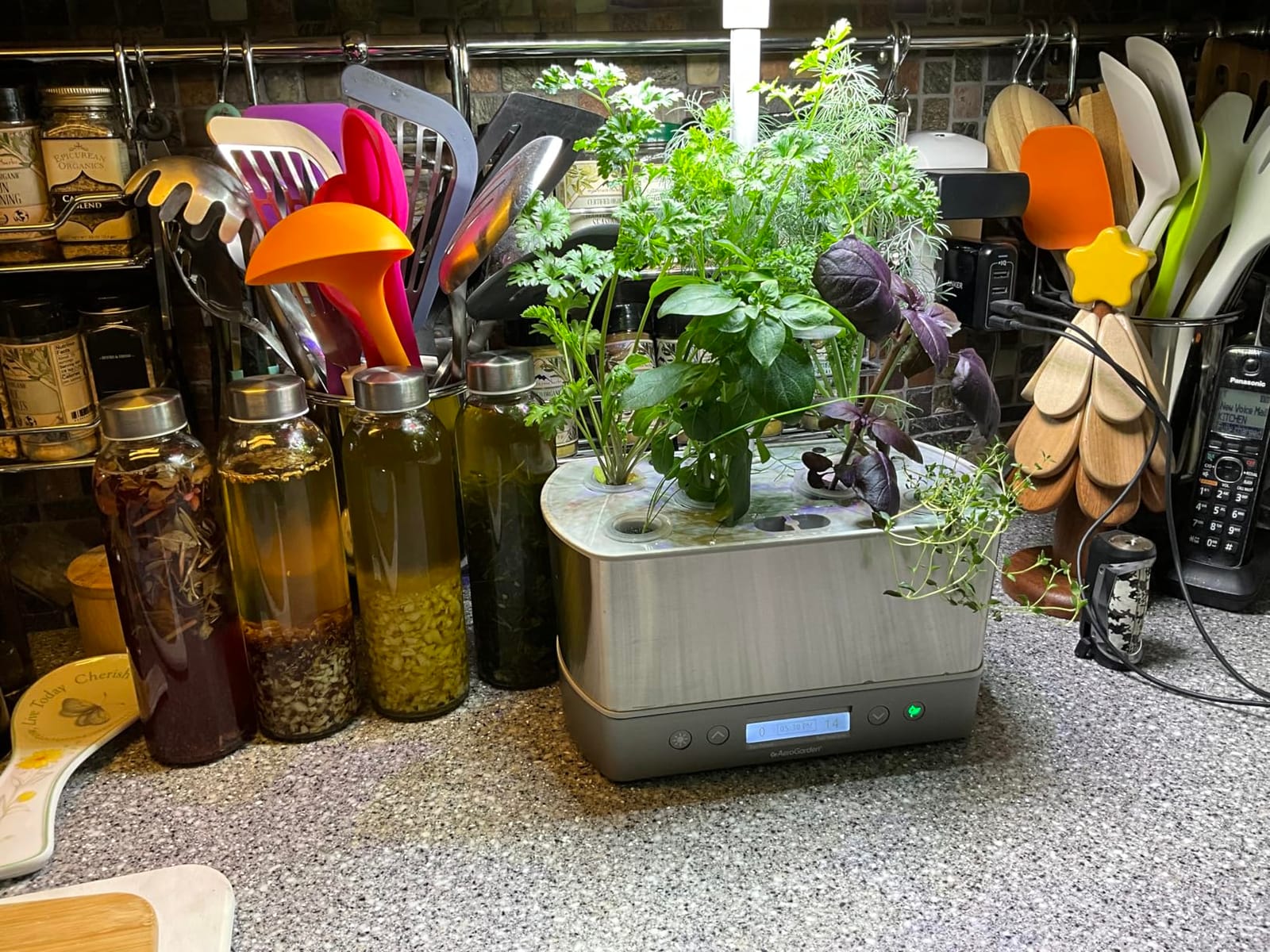 AeroGarden Harvest Elite, Stainless Steel | Indoor Garden with LED Grow Light and Seed Pod Kit customer photo 1