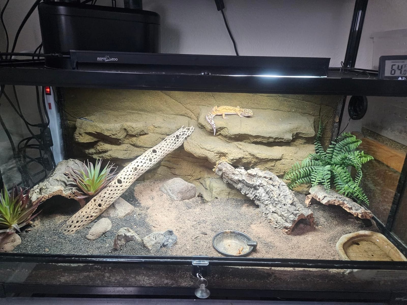 REPTI ZOO 50 Gallon Reptile Glass Terrarium Tank Double Hinge Door with Screen Ventilation Large Reptile Terrarium 36