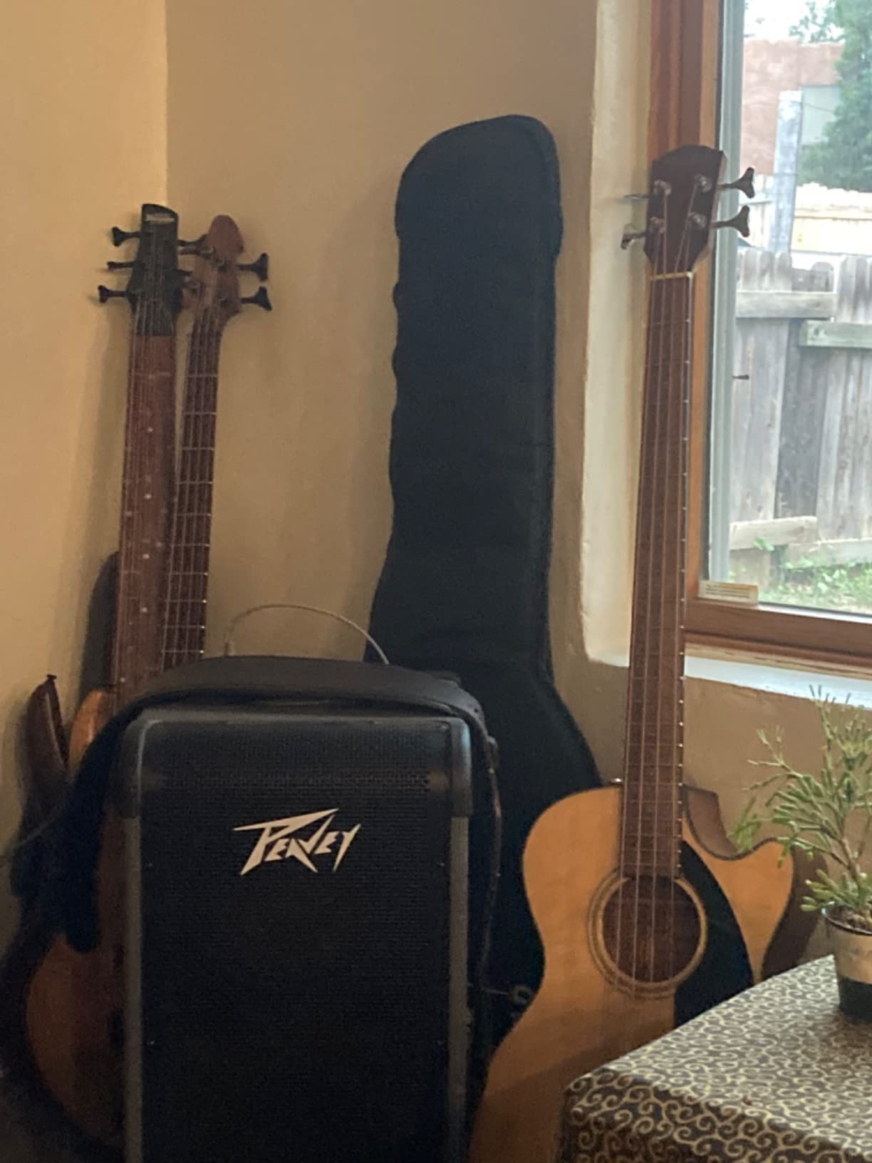 Fender Acoustic Bass Guitar 4-String with Fishman Bass Acoustic Guitar Pickup with Tuner and Equalizer customer photo 1
