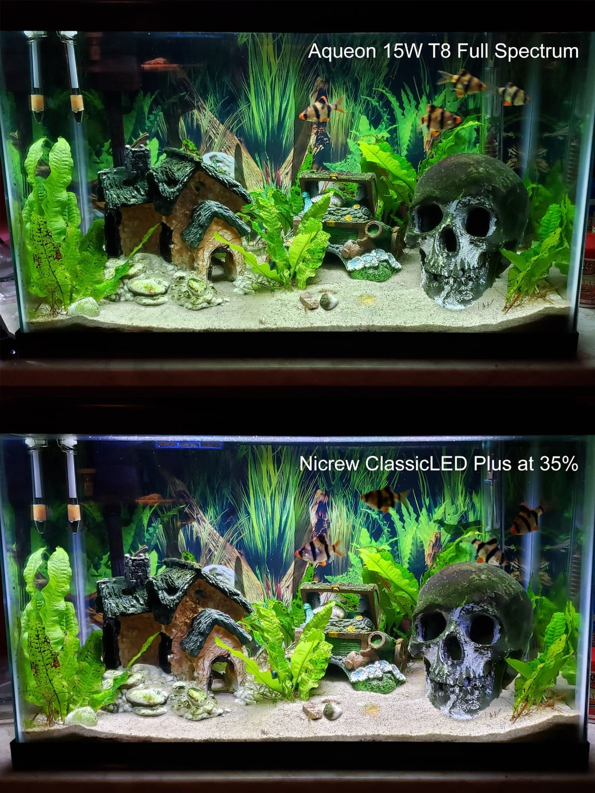 NICREW ClassicLED Plus LED Aquarium Light, 15W, for 18 to 24 Inch Fish Tank | Natural Full Spectrum Lighting, Sunrise & Sunset Simulation, CRI 91 Color Rendering, Customizable Lighting Schedule customer photo 2