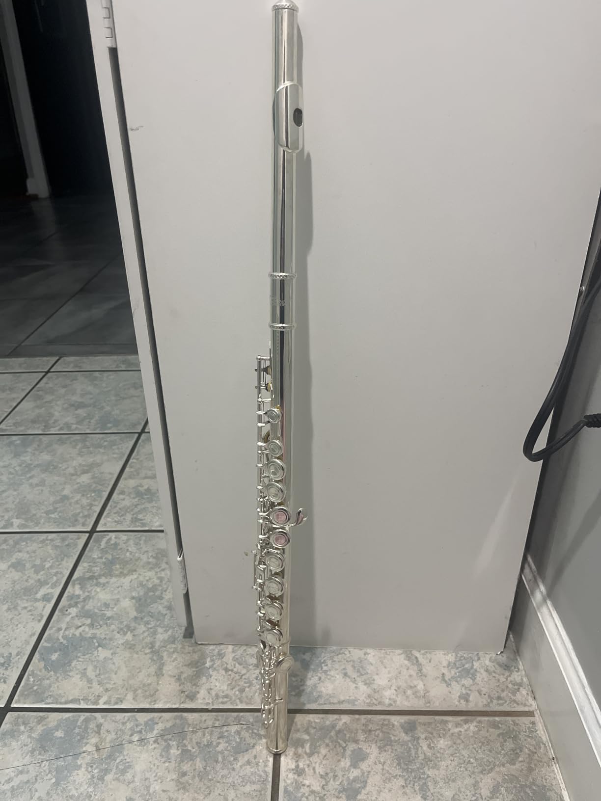 Eastar 16-Key Closed Hole C Flute Kids Beginner, Nickel Full Kit, EFL-1 customer photo 1
