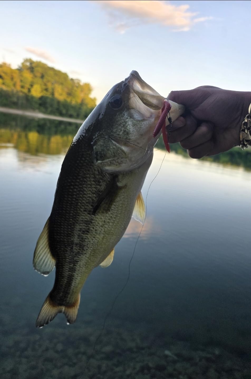 PLUSINNO Fishing Rod and Reel Combos Carbon Fiber Telescopic Fishing Pole with Reel Combo Sea Saltwater Freshwater Kit Fishing Rod Kit customer photo 2