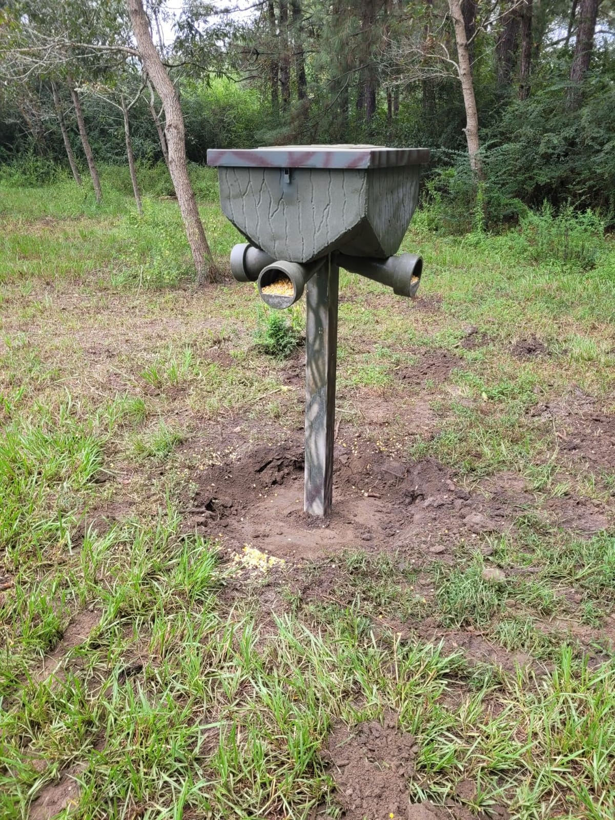Banks Outdoors Gravity Fed Post Mounted Weatherproof Feed Bank Deer and Game Hunting Feeder with 150 Pound Capacity, Green customer photo 1