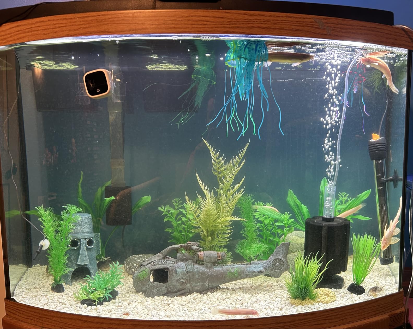 Orlushy Submersible Aquarium Heater, Adjustable Fish Tank Heater with Free Thermometer Suitable for Marine Saltwater and Freshwater customer photo 2