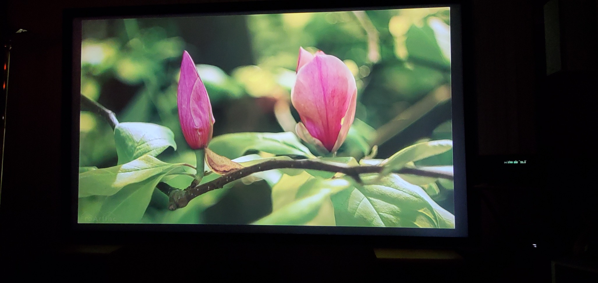 VEVOR Projector Screen 120inch Outdoor Projector Screen 16:9 Movie Screen Fixed Frame 3D Projector Screen for 4K HDTV Movie Theater customer photo 1