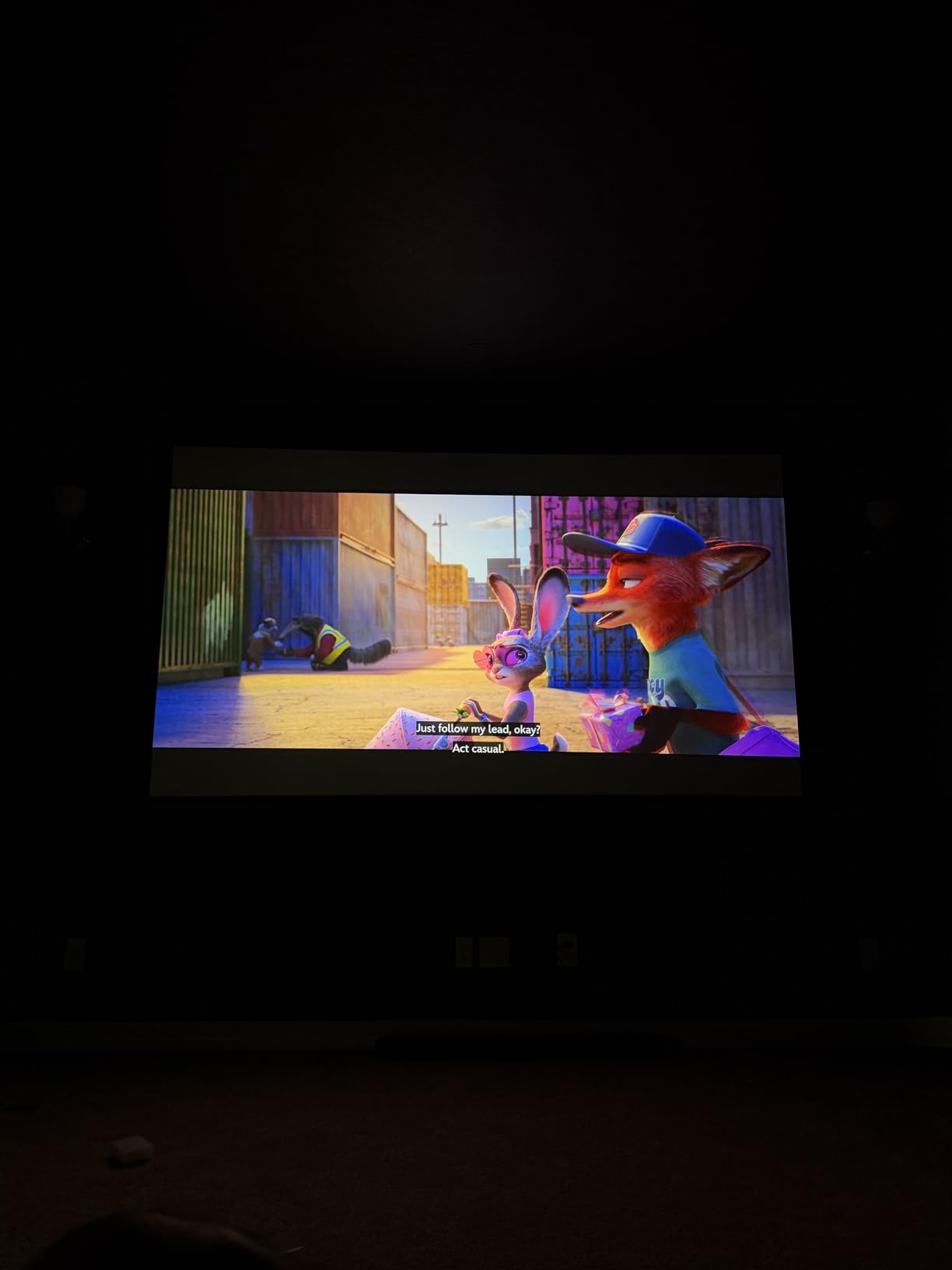 Akia Screens Fixed Frame Projector Screen 135-Inch, 16:9, Wall Mount, CINEWHITE UHD-B, 4K/8K Ready, Indoor Home Theater, AK-FF135WH2 customer photo 1