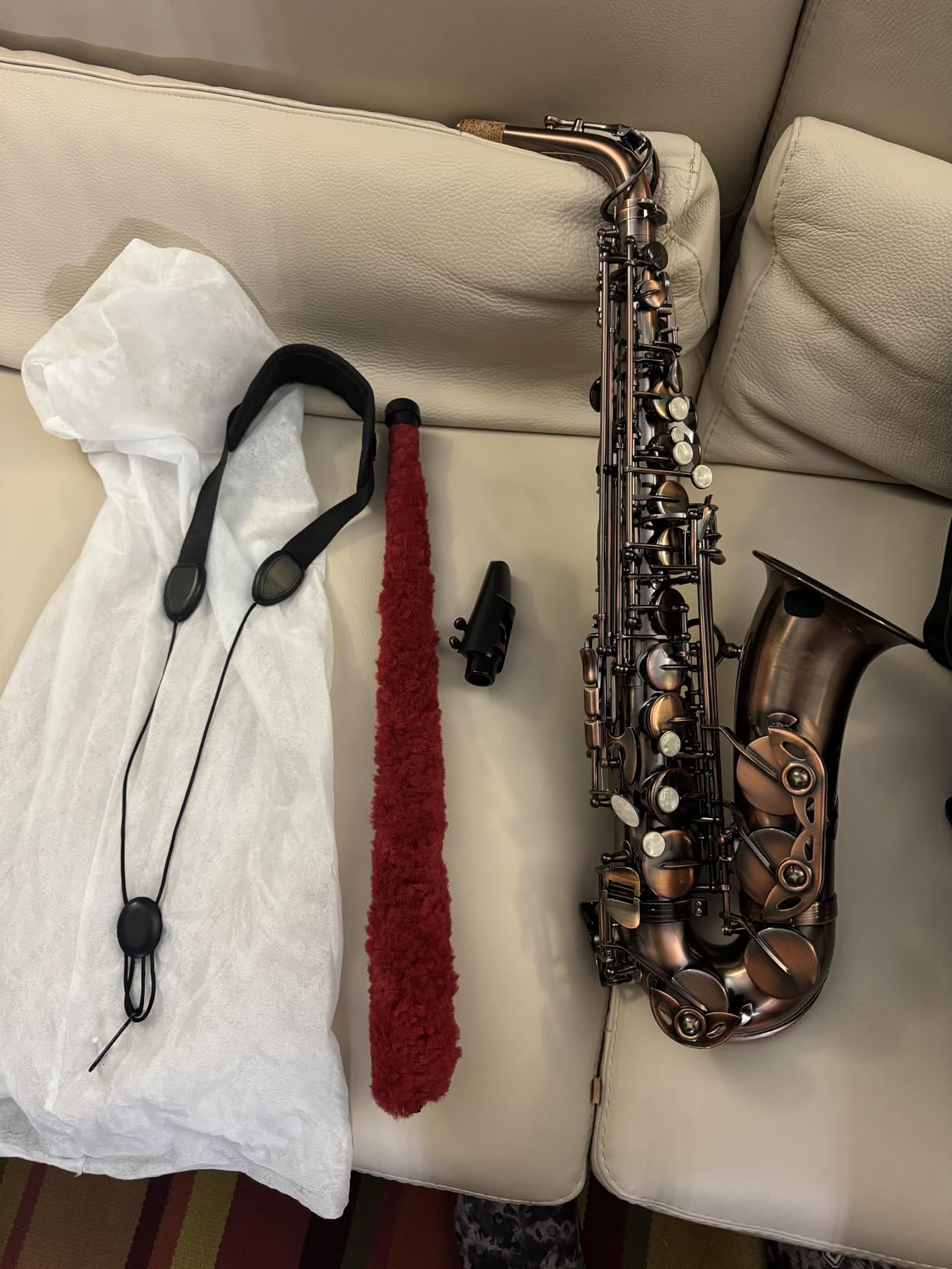 Eastar Alto Saxophone Beginner Student Eb Sax, Golden Full Kit, AS-II customer photo 1