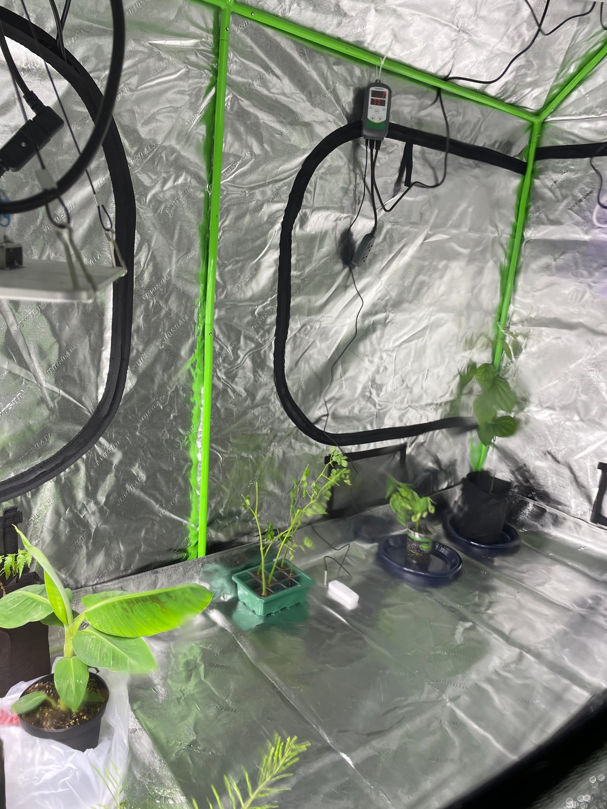 VIVOSUN 2-in-1 4x3 Grow Tent 48