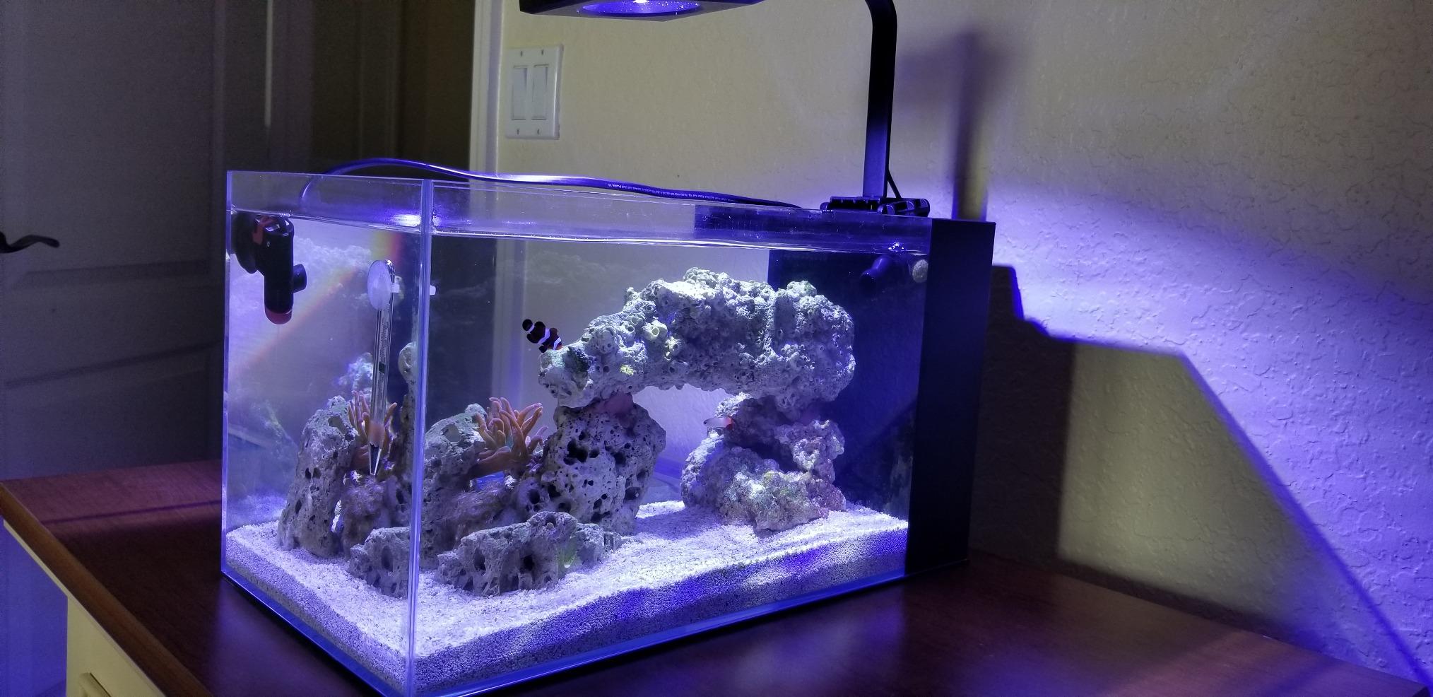 LIFEGARD Low Iron Ultra Clear 7.5 Gallon Crystal Aquarium with Built in Side Filter - Rimless Glass, 45 Beveled Edge, Peninsula Style with Directional Jet Flow customer photo 1