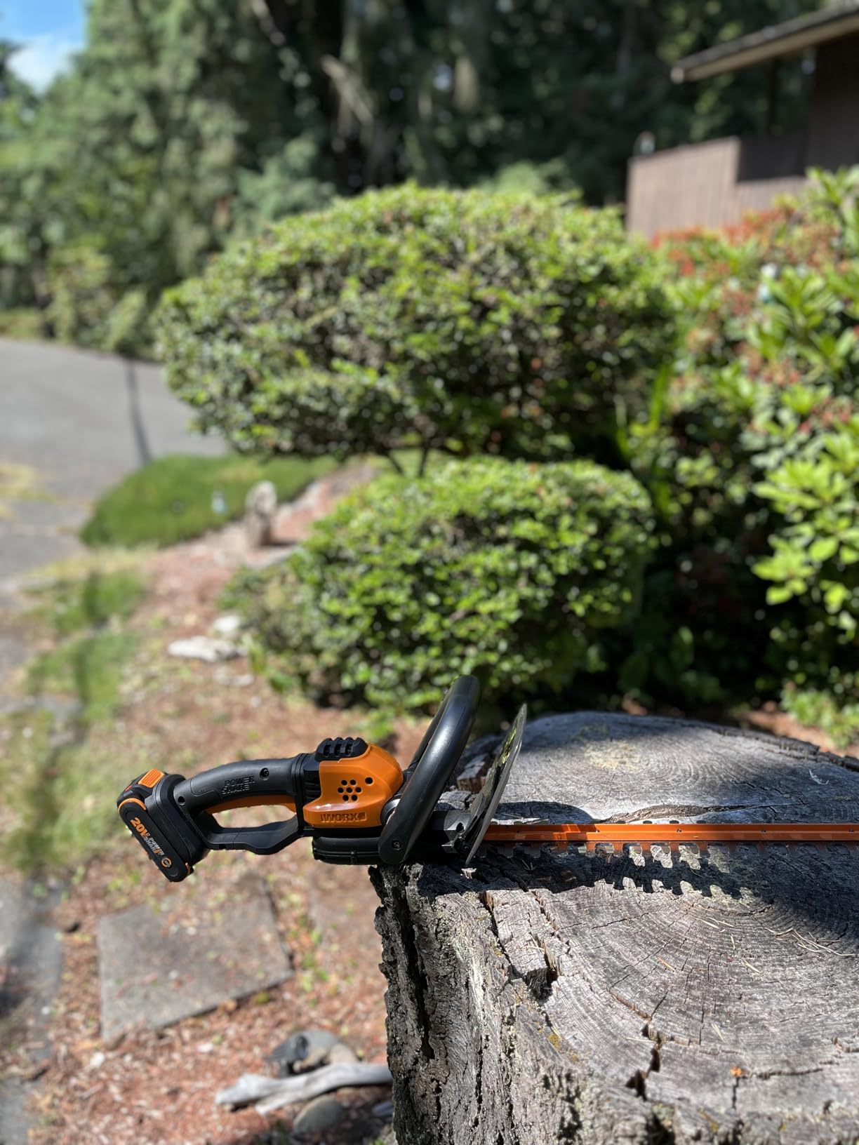 WORX Cordless Hedge Trimmer, 20V 22