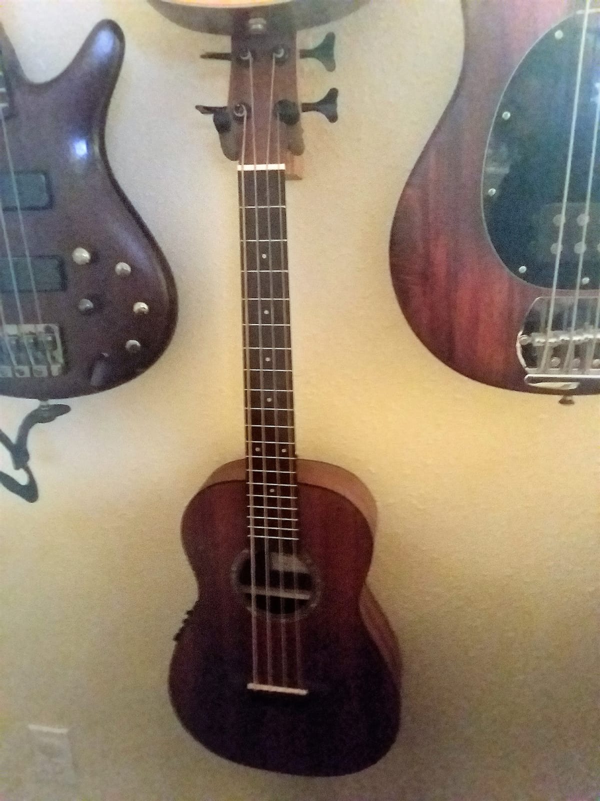 Cordoba Mini II Acoustic Electric Bass MHE customer photo 1
