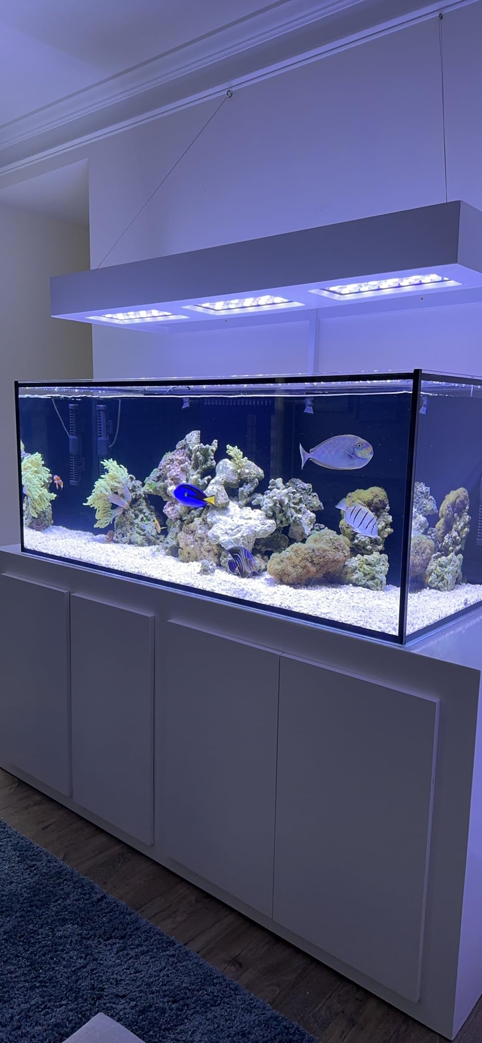 Empire USA Starfire Glass Aquarium 60x24x24 Inch 150 Gallon customer photo 1