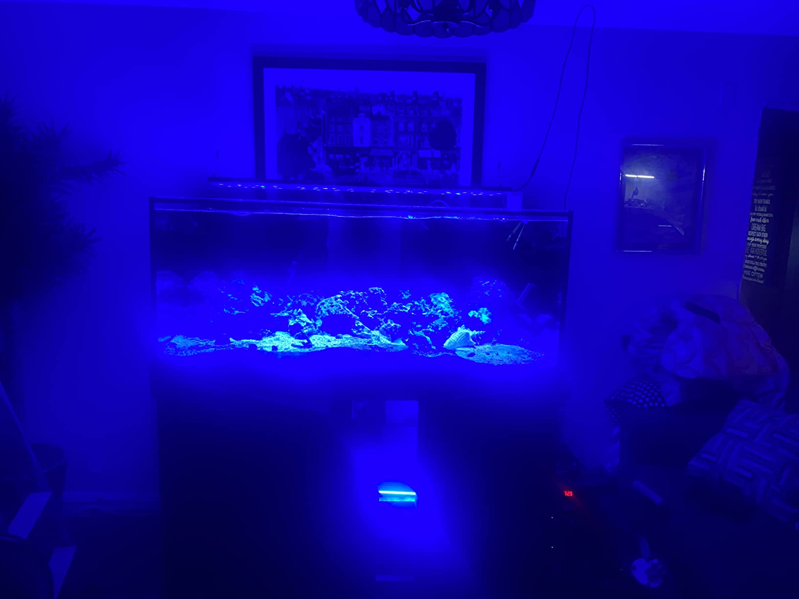 Empire USA Starfire Glass Aquarium 60x24x24 Inch 150 Gallon customer photo 2