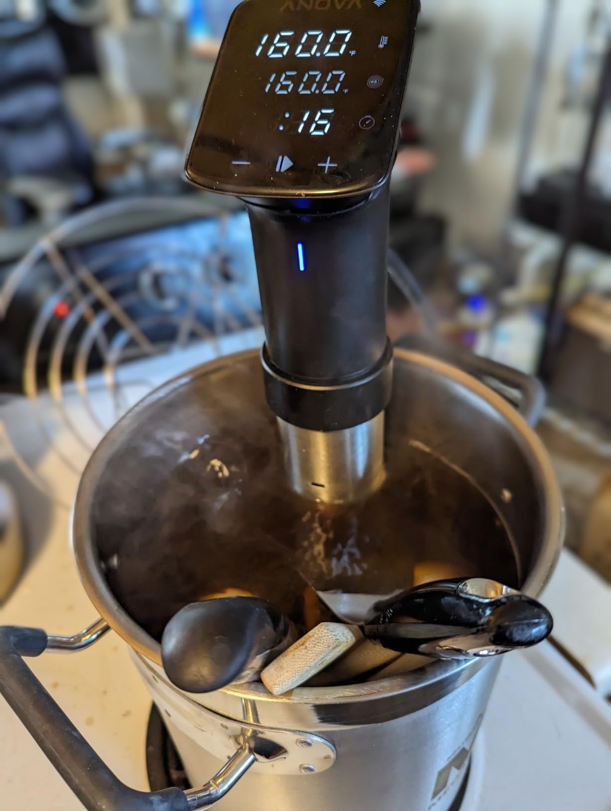 Anova Culinary Sous Vide Precision Cooker Pro, 1200 Watts, Black and Silver customer photo 2