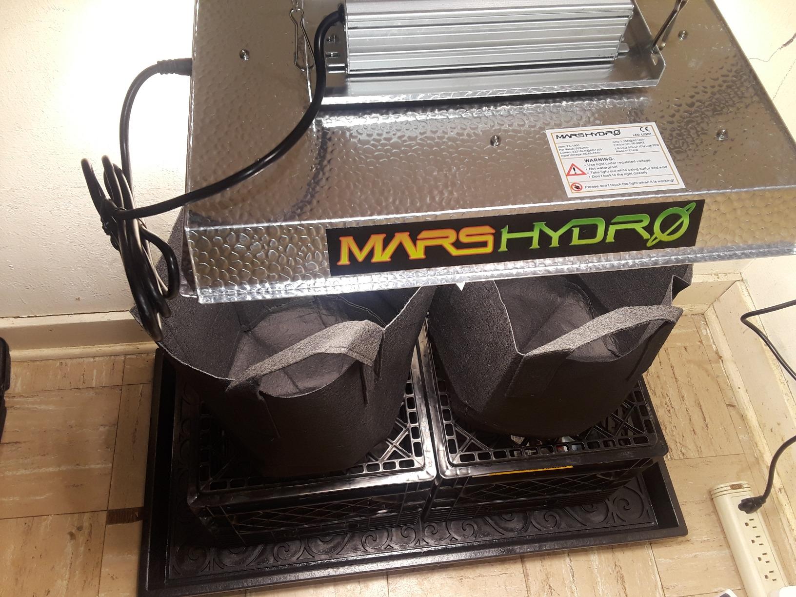 MARS HYDRO 150W TS1000 LED Grow Light for Indoor Plants Full Spectrum | Patented Reflective Hood, Dimmable & Silent Fanless, Daisy-Chain Link, Uniform Light for 2x2/3x3 Grow Tent, Veg to Bloom customer photo 2