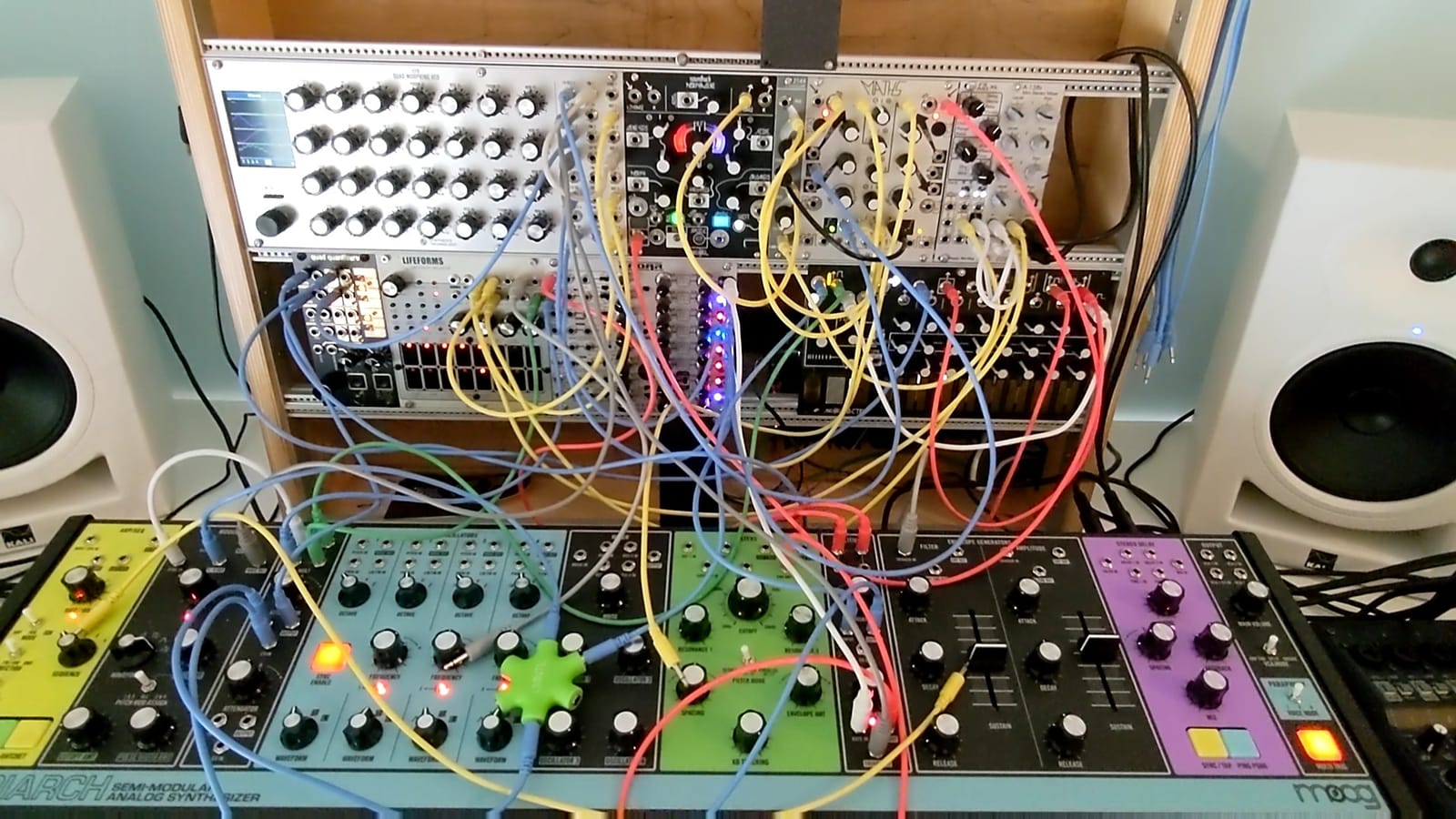 MOOG Matriarch Paraphonic Analog Synthesizer | 4-Note Patchable Synth with Keyboard, Sequencer, Arpeggiator, Stereo Ladder Filters, Stereo Analog Delay customer photo 2