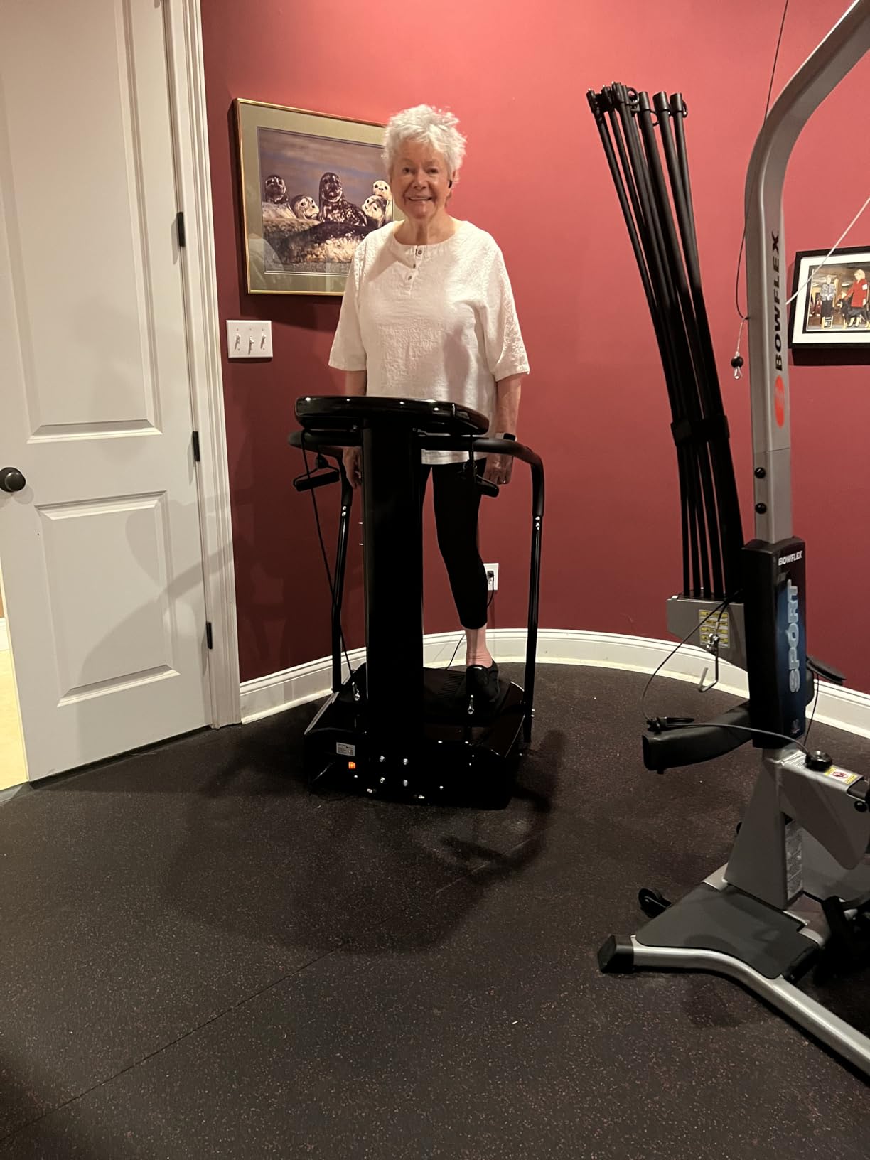 Lifepro Rhythm Vibration Plate Exercise Machine with 99 Speed Levels | Heart Rate Monitor, Resistance Bands, Cup Holder, Phone Holder - Vibration Plate for Lymphatic Drainage & Full Body Workout customer photo 1